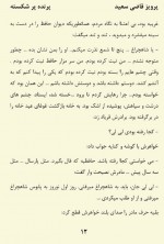 دانلود کتاب پرنده پر شکسته پرویز قاضی سعید 194 صفحه PDF 📘-1