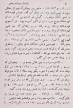 دانلود کتاب پشت آن مرداب وحشی پرویز قاضی سعید 213 صفحه PDF 📘-1