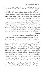 دانلود کتاب تکثیر تاسف انگیز پدر بزرگ نادر ابراهیمی 145 صفحه PDF 📘-1