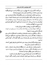 دانلود کتاب سمعک عیار جلد دوم حسین فتاحی 157 صفحه PDF 📘-1