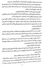 دانلود کتاب مشعلی در برابر شب جلد دوم صبا طاهر 452 صفحه PDF 📘-1