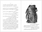 دانلود کتاب دخترک سیاه در جستجوی خدا علی اشرف شیبانی 120 صفحه PDF📘-1