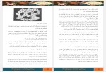 دانلود کتاب در جستجوی دلتورا2 محبوبه نجف خانی 93 صفحه PDF 📘-1