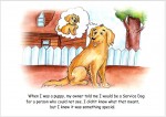 دانلود کتاب abe the service dog تی آلبرت 25 صفحه PDF📘-1