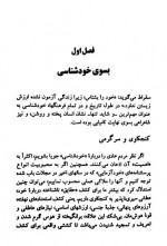دانلود کتاب خود شناسی با روش یونگ اسماعیل فصیح 238 صفحه PDF 📘-1