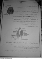 دانلود جزوه نوروآناتومی علوم پایه فرزانه رحمانی 23 صفحه PDF 📘-1