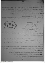 دانلود جزوه نوروآناتومی علوم پایه فرزانه رحمانی 23 صفحه PDF 📘-1