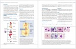دانلود جزوه هماتولوژی هافبراند 382 صفحه PDF 📘-1