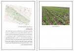 دانلود پروژه درس مدیریت و تعارض مذاکره دانشگاه آزاد 12 صفحه PDF📘-1
