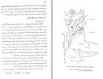 دانلود کتاب بزرگان سیستان ایرج افشار سیستانی 277 صفحه PDF 📘-1