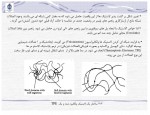 دانلود جزوه حالت کشسانی لاستیکی محمد رضا مقبلی 24 صفحه PDF 📘-1