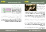 دانلود جزوه هفت نکته در طراحی پلان های مسکونی امیر صفایی راد 10 صفحه PDF📘-1