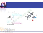 دانلود جزوه آزمایشگاه شیمی آلی 2 طیبه پرتوی 135 صفحه PDF📘-1