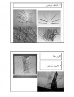 دانلود جزوه الیاف فولادی پروژه کارت 68 صفحه PDF 📘-1