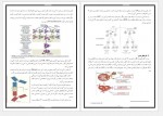 دانلود جزوه ایمنولوژی پروژه کارت 85 صفحه PDF 📘-1