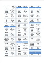 دانلود جزوه کلمه زبان 4 صفحه PDF 📘-1