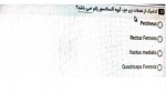 دانلود نمونه سوالات آناتومی (مجازی) 1-20 صفحه PDF 📘-1
