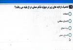 دانلود نمونه سوالات آناتومی (مجازی) 2-40 صفحه PDF 📘-1