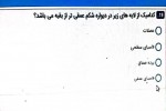 دانلود نمونه سوالات آناتومی (مجازی) 2-40 صفحه PDF 📘-1