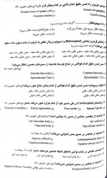 دانلود نمونه سوالات بخش اناتومی میدترم نورو 25 صفحه PDF 📘-1