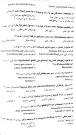 دانلود نمونه سوالات بخش اناتومی میدترم نورو 25 صفحه PDF 📘-1