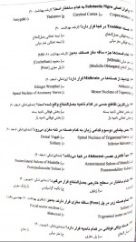 دانلود نمونه سوالات بخش اناتومی میدترم نورو 25 صفحه PDF 📘-1