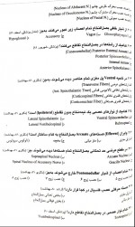 دانلود نمونه سوالات بخش اناتومی میدترم نورو 25 صفحه PDF 📘-1