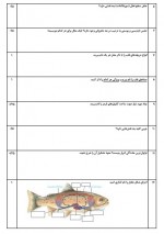 دانلود نمونه سوالات زیست دهم نهایی 5 صفحه PDF 📘-1