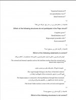 دانلود نمونه سوالات نوروآناتومی استاد شفائی 36 صفحه PDF 📘-1