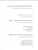 دانلود نمونه سوالات نوروآناتومی استاد شفائی 36 صفحه PDF 📘-1