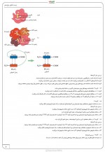 دانلود نمونه سوالات زیست یازدهم کنکور 81 صفحه PDF 📘-1
