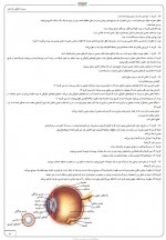 دانلود نمونه سوالات زیست یازدهم کنکور 81 صفحه PDF 📘-1