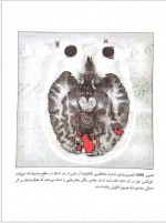 دانلود جزوه اصول فیزیک هسته ای جان لی لی 218 صفحه PDF📘-1