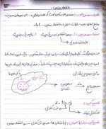 دانلود جزوه اقتصاد مهندسی محمد اسکندری 16 صفحه PDF 📘-1