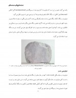 دانلود جزوه دولومیت هومن حاجی کریمی 7 صفحه PDF📘-1