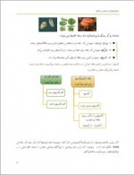 دانلود جزوه میکروبیولوژی عمومی 64 صفحه PDF📘-1