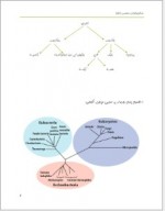 دانلود جزوه میکروبیولوژی عمومی 64 صفحه PDF📘-1