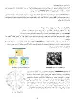 دانلود جزوه نانو شیمی وحیده سلطانی 38 صفحه PDF 📘-1