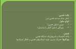 دانلود جزوه سیستم عصبی دکتر ظهیری 38 صفحه PDF📘-1