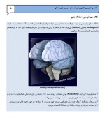دانلود جزوه اصطلاحات آناتومی فصل اول 30 صفحه PDF 📘-1