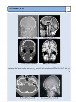 دانلود جزوه اصطلاحات آناتومی فصل اول 30 صفحه PDF 📘-1